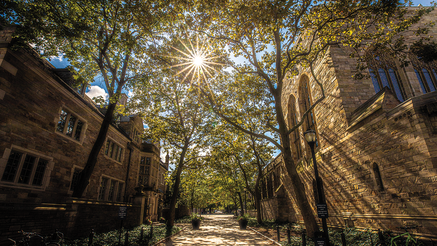 Sun poking through trees between two Yale campus buildings.