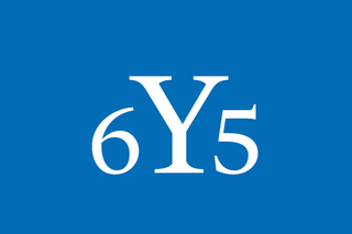 Class of 1965 reunion logo