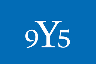 Yale class of 1995 reunion logo