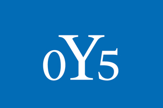 Yale class of 2005 reunion logo