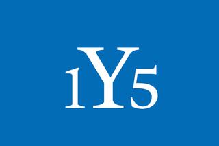 Yale class of 2015 reunion logo